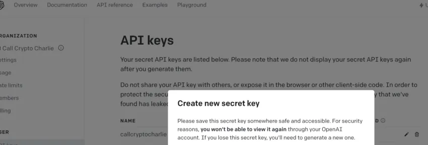 API Keys and How to install Auto-GPT: OpenAI