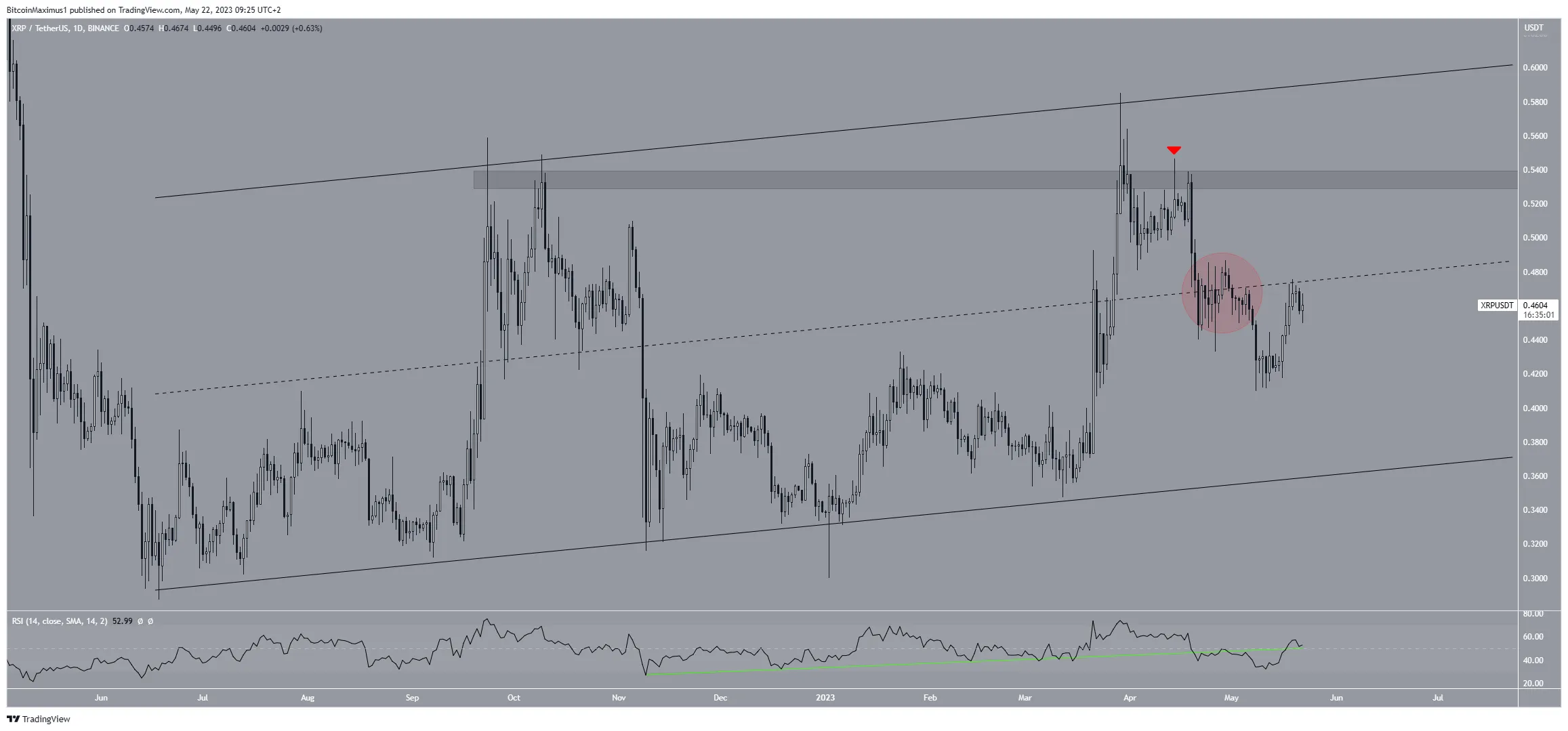 XRP Price Movement Daily