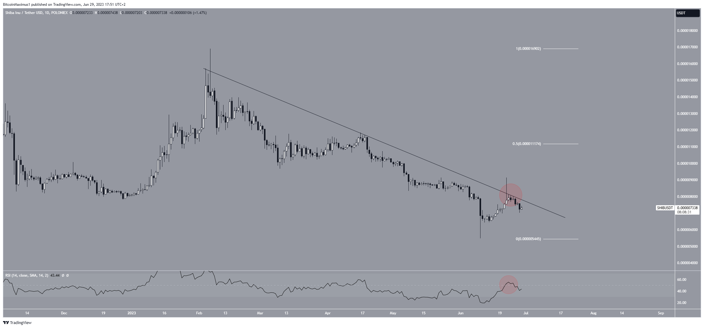 Shiba Inu (SHIB) Price Rejection