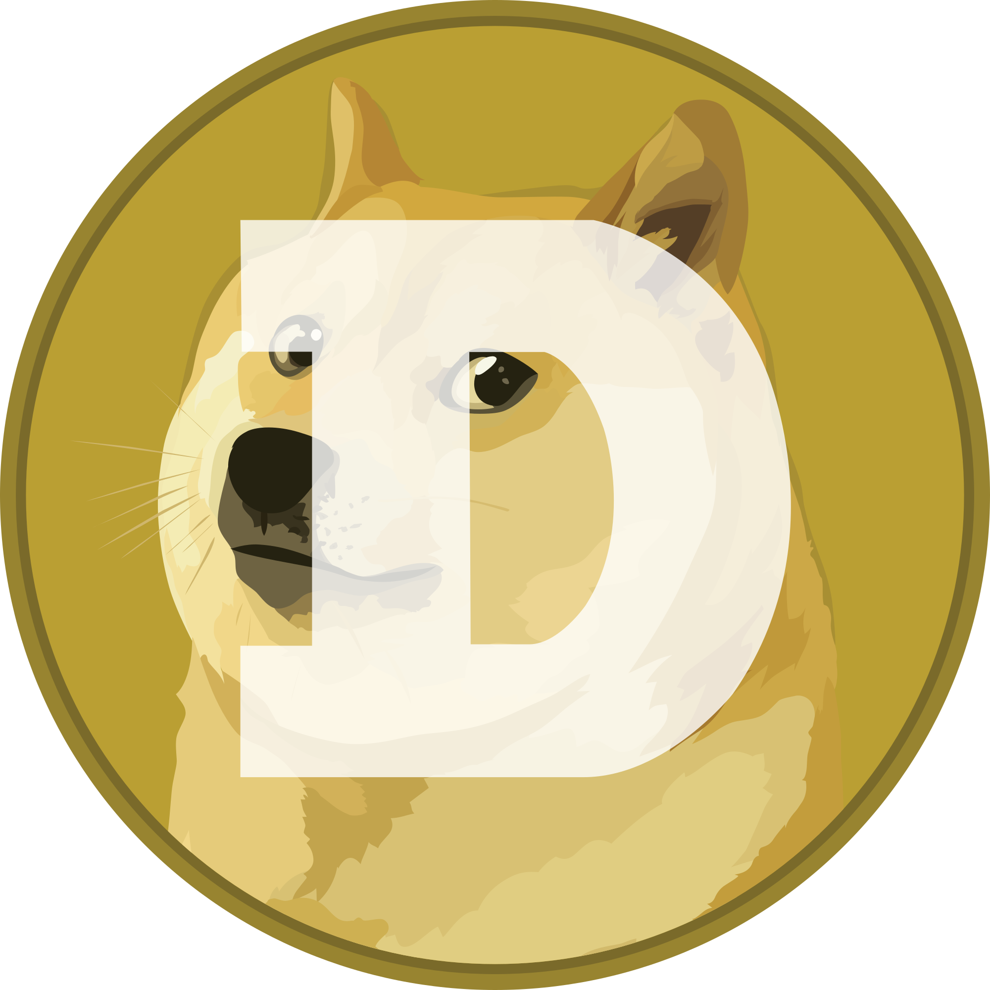 doge coin watch