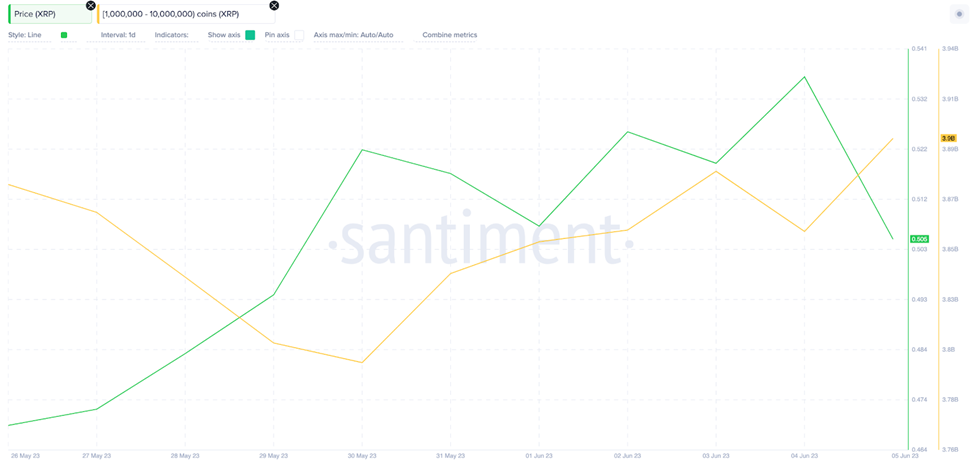 Ripple (XRP) Price Rally, June 2023. Whales Wallet Balances