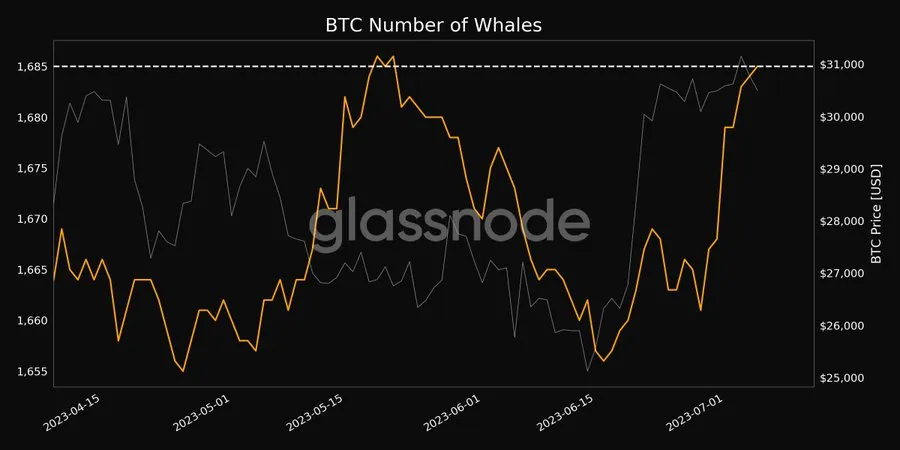 BTC Whales