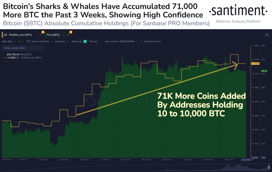 比特币鲸鱼在现货 ETF 兴奋中增加了超过 71,000 BTC