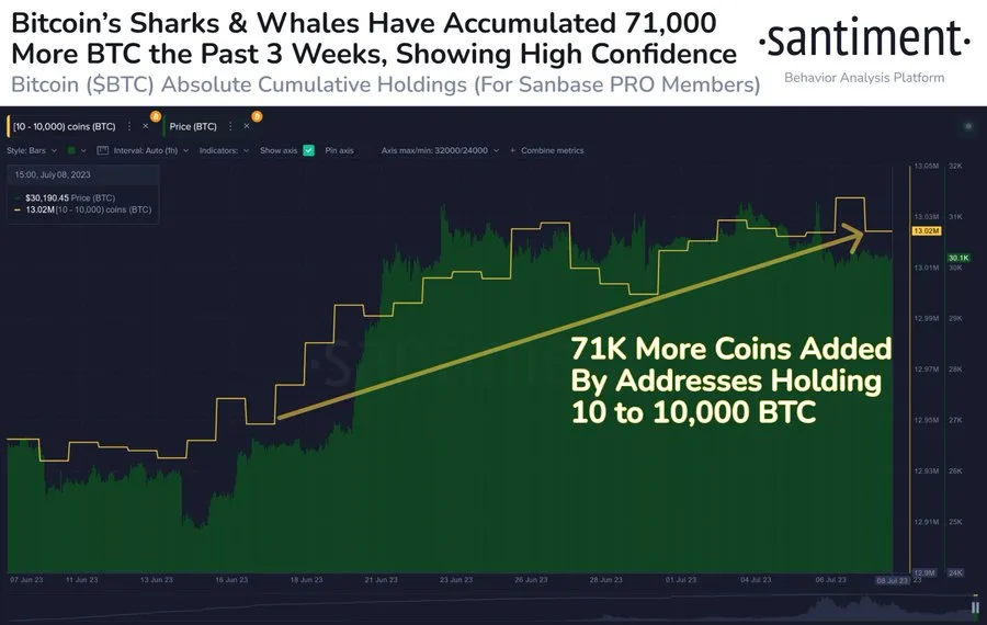 Bitcoin Whales Accumulation