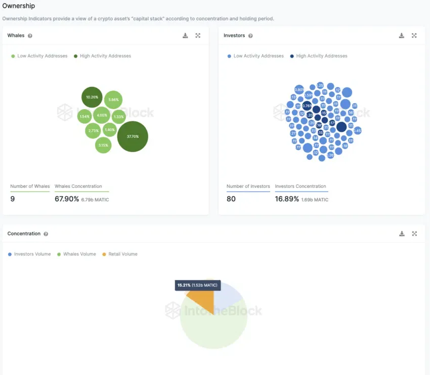 Distribution of MATIC token holder types by IntoTheBlock