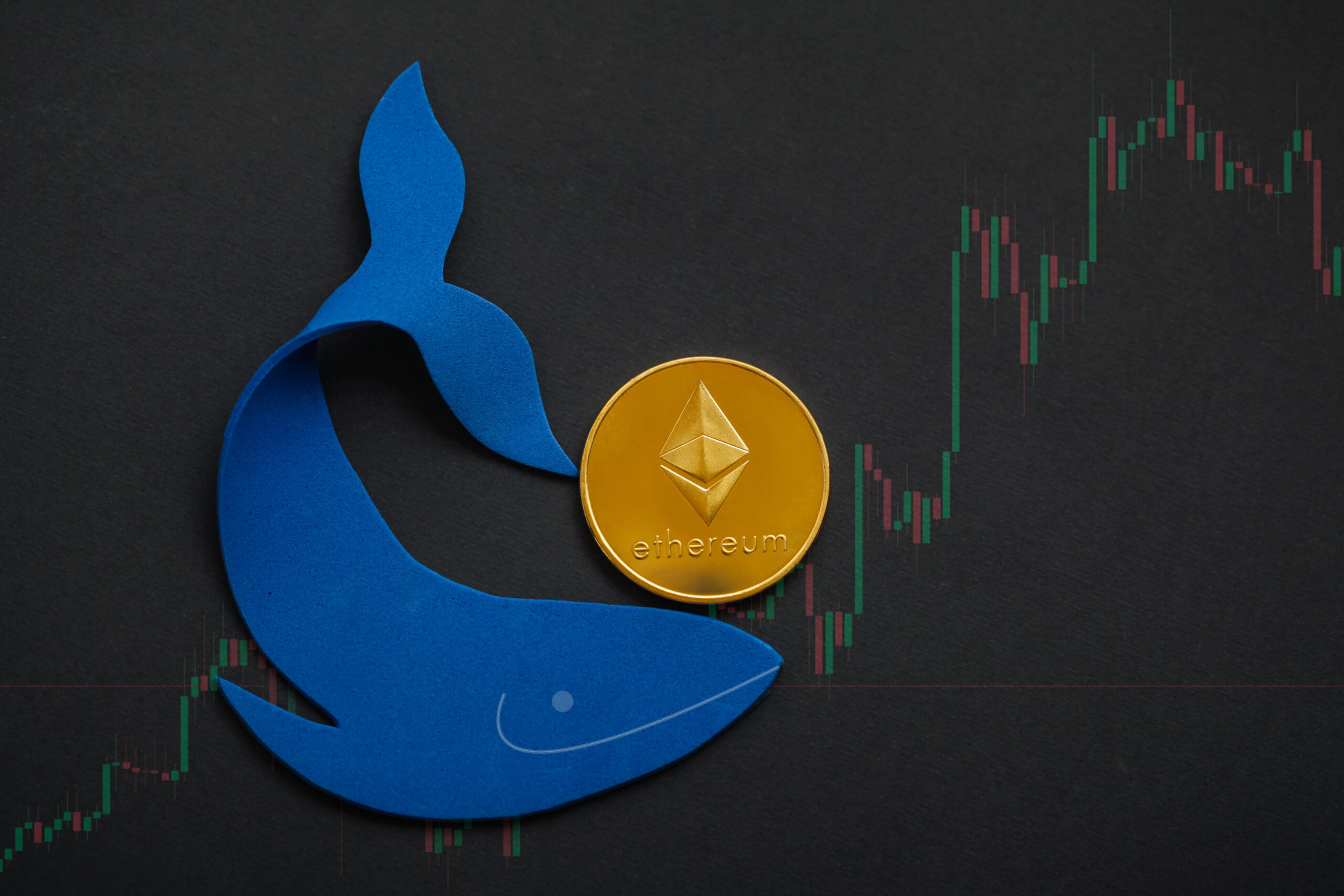 Ethereum ICO Whale ha trasformato $ 19.000 in $ 113 milioni, nuovi ICO da tenere d'occhio