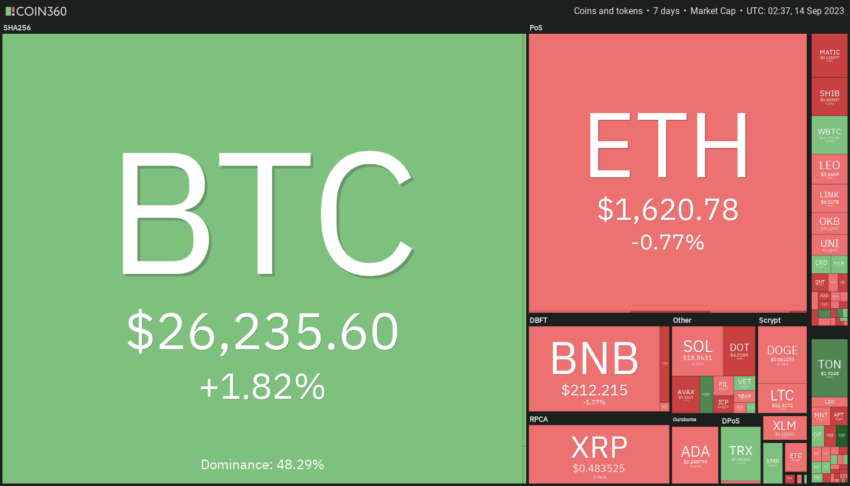 Crypto Market Performance