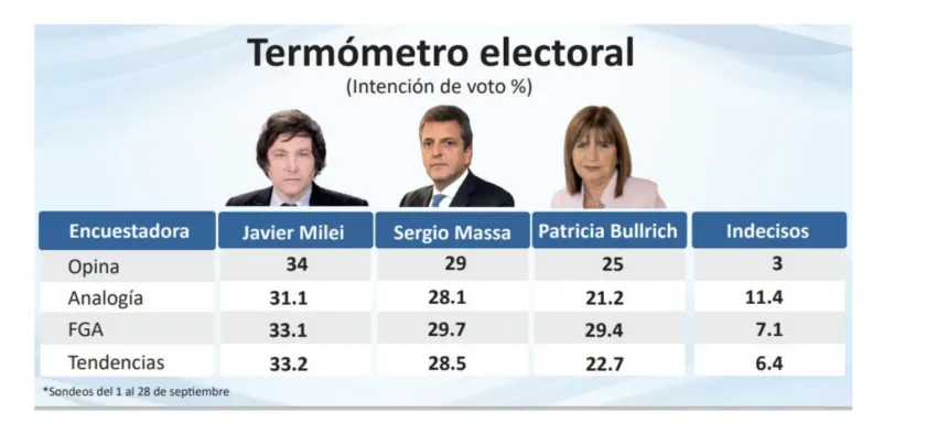 Argentina Election Candidates Poll.Javier Milei. Source:Perfil