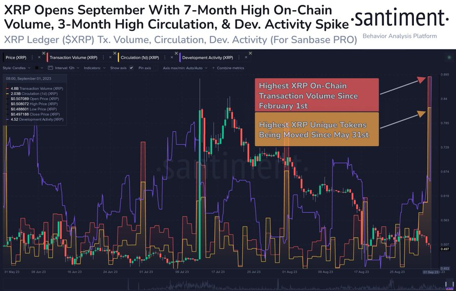 Dane on-chain Ripple