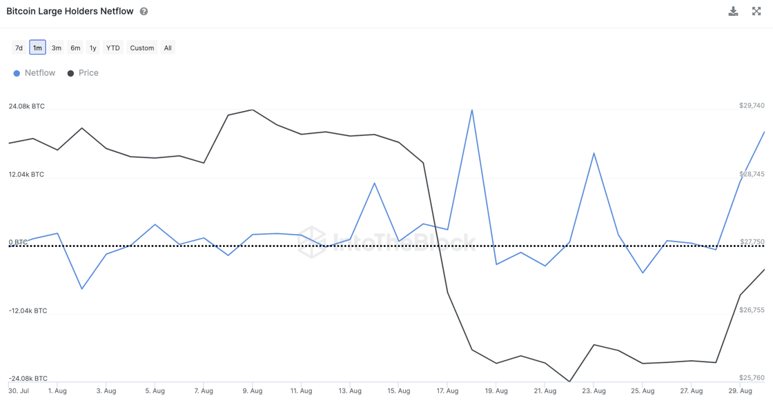 Possessori di Bitcoin