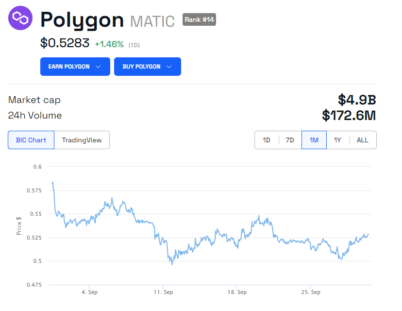 Polygon Matic Value