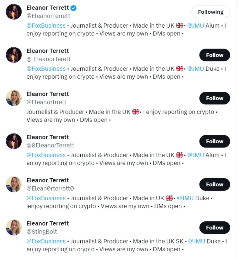 A screenshot of Eleanor Terrett's impersonator accounts.